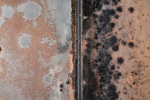 Hvordan skimmelsvamptest kan beskytte dit hjem og helbred